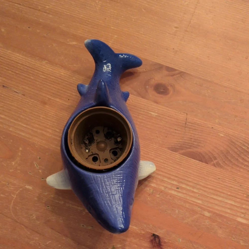Blue and White Shark Aquarium Ornament